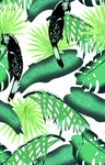 热带植物