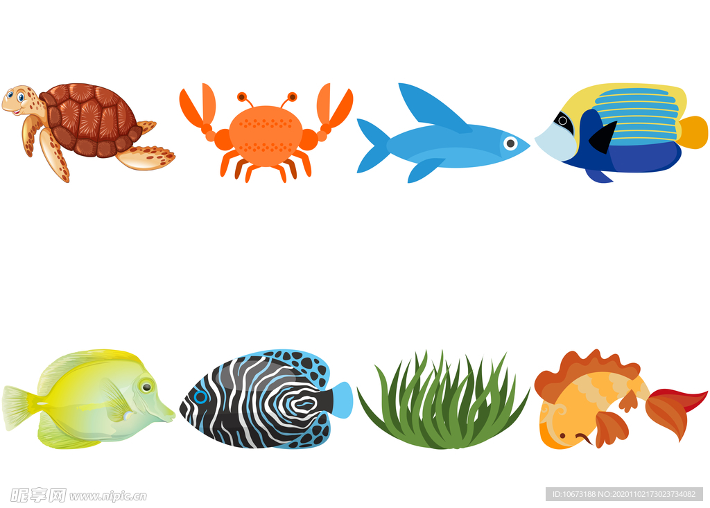 海洋生物