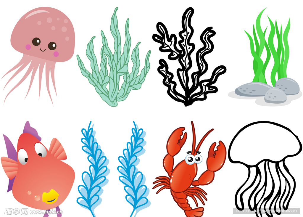 海洋生物