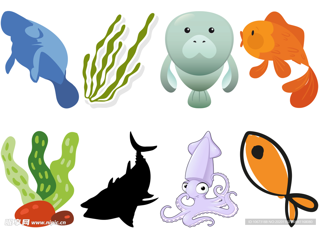 海洋生物
