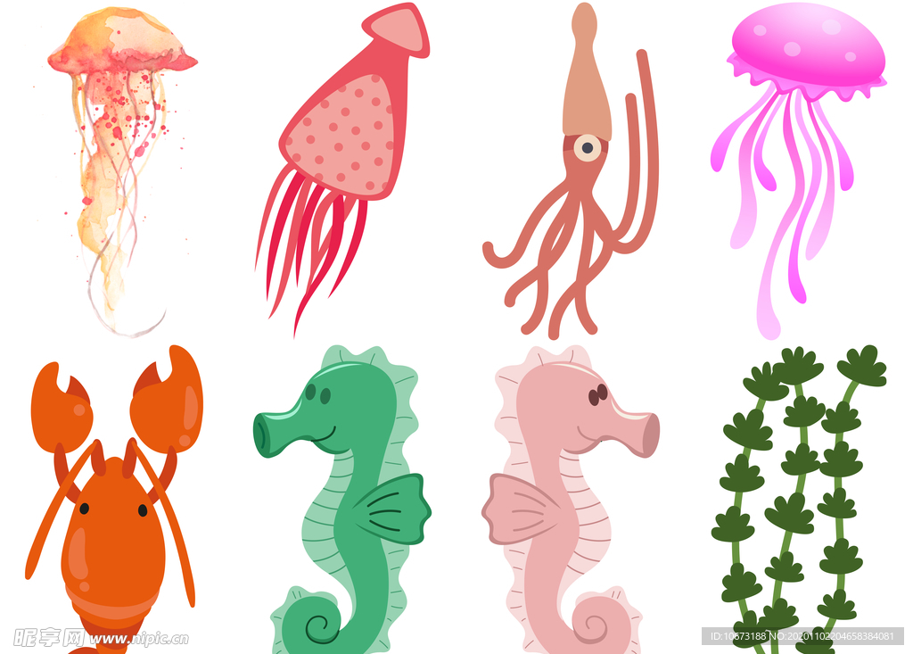海洋生物