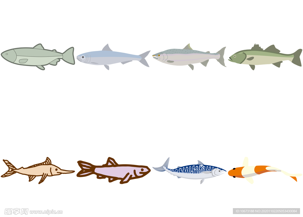 海洋生物