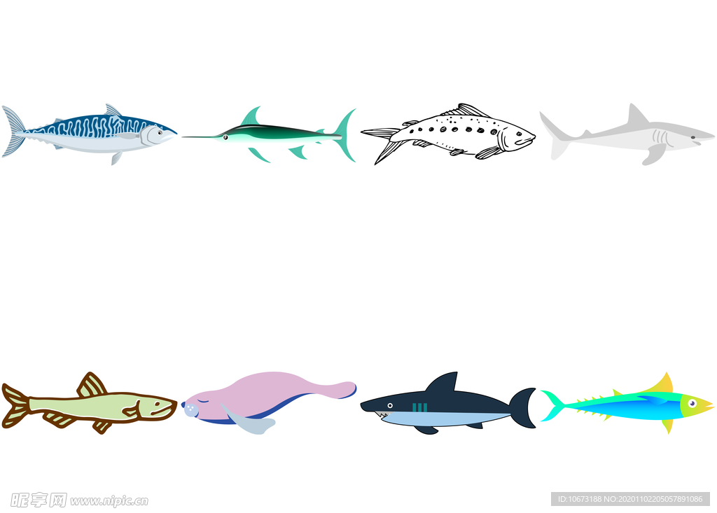 海洋生物