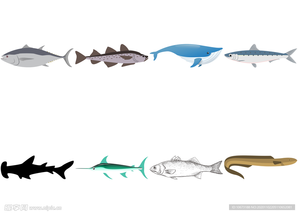 海洋生物