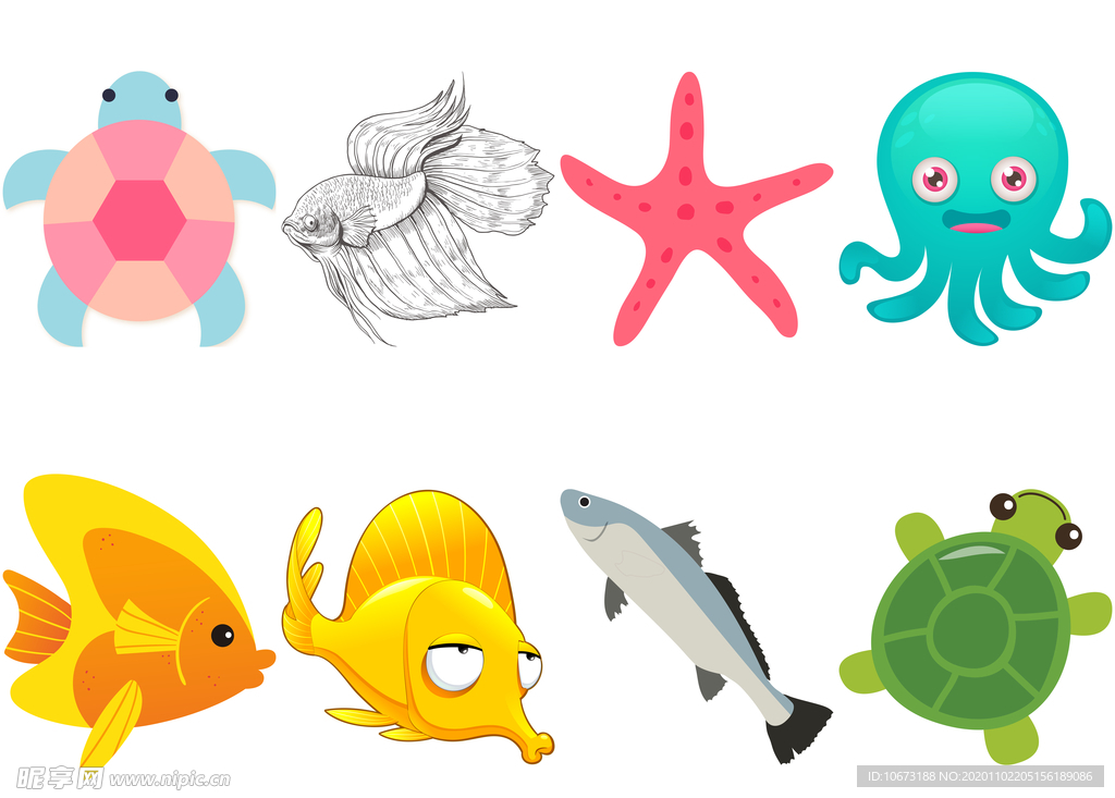 海洋生物