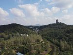 塔 寺 山 绿色