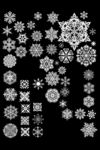雪花