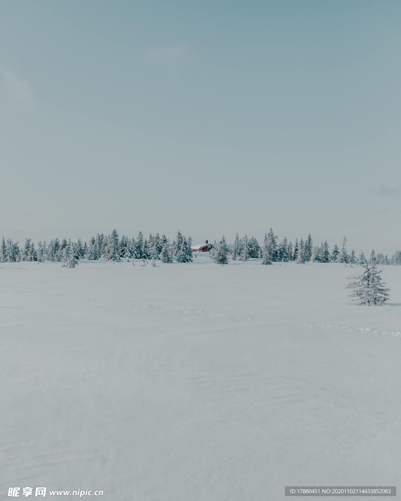 山林