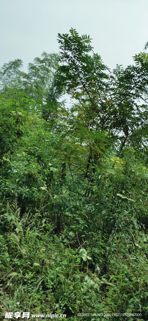 风景 桌面壁纸 摄影 自然景观