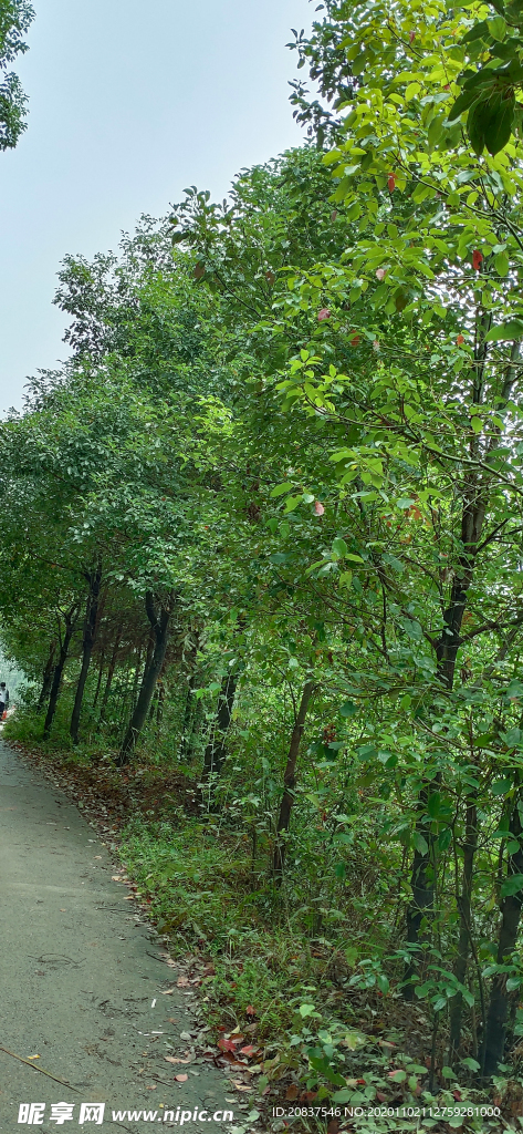 风景 桌面壁纸 摄影 自然景观