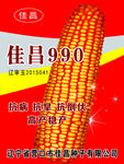 玉米海报