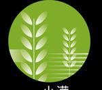 小满