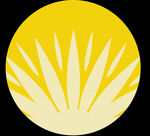 寒露