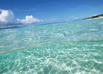 海水