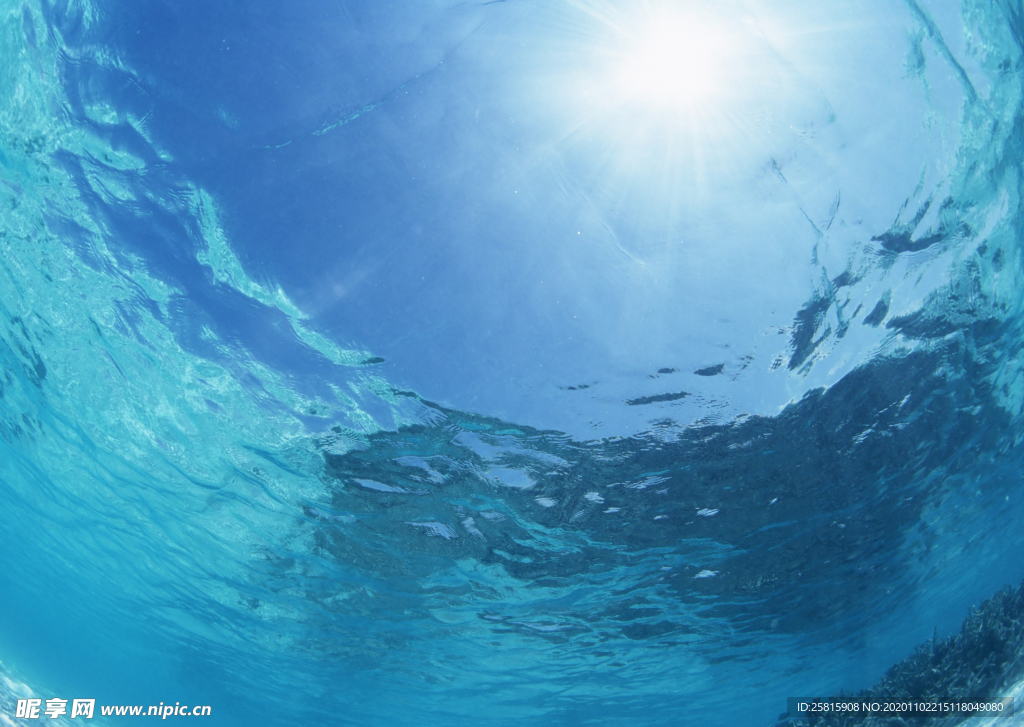海