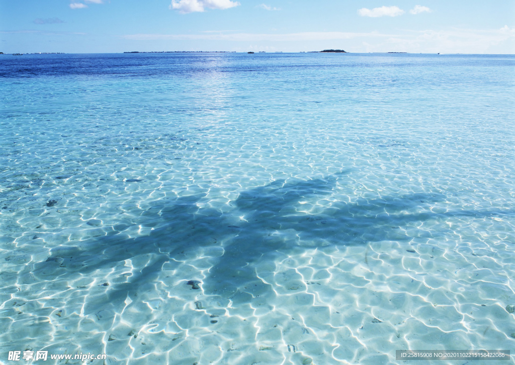 海水