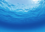 海水