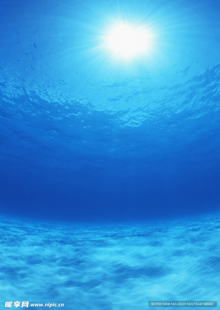 大海
