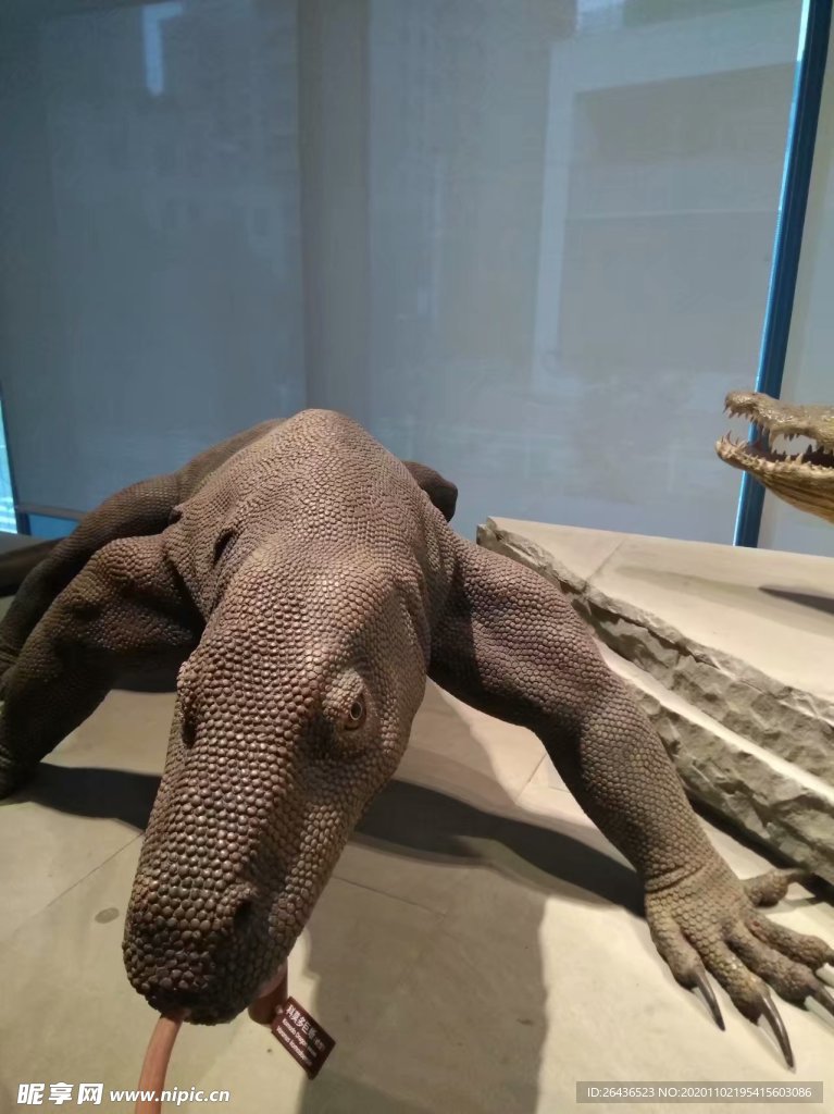 自然景观
