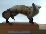 自然景观