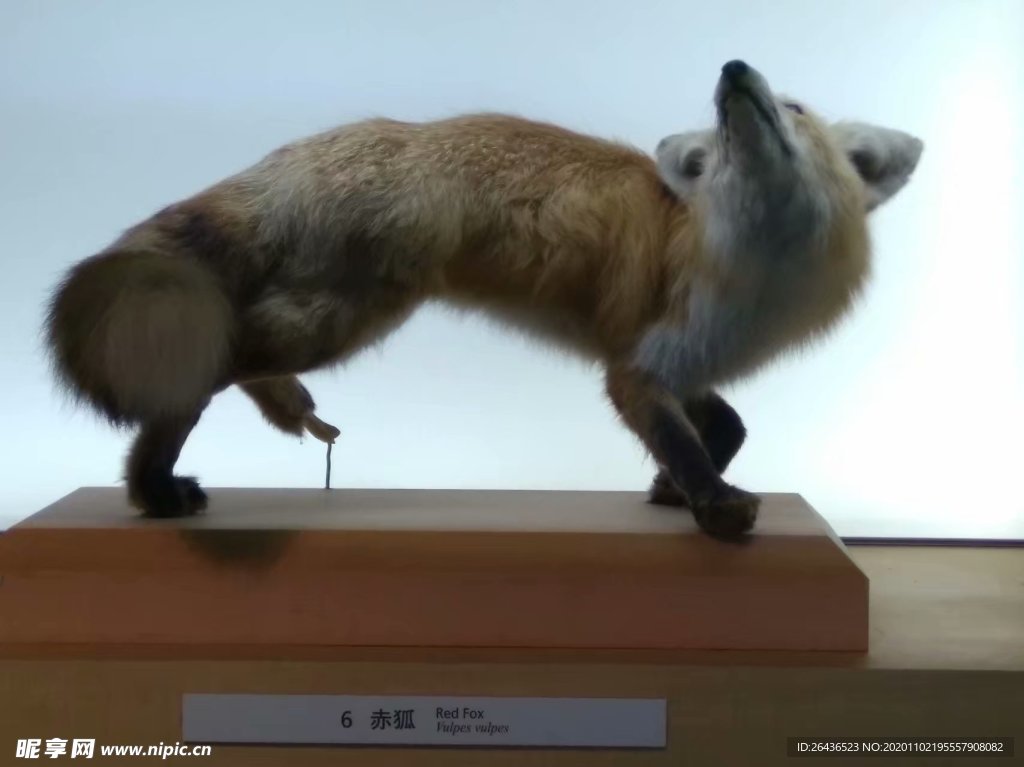 自然景观