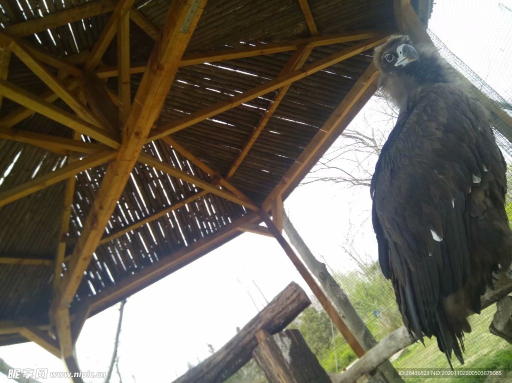 自然风景