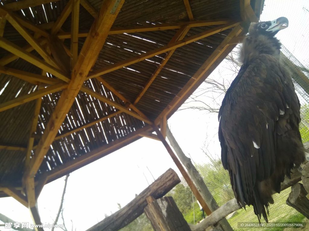 自然风景