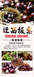 板栗