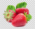 草莓