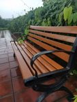 雨后的长椅