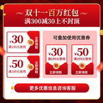 双十一海报