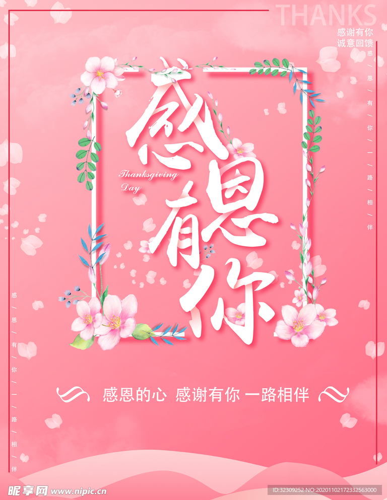 感恩节