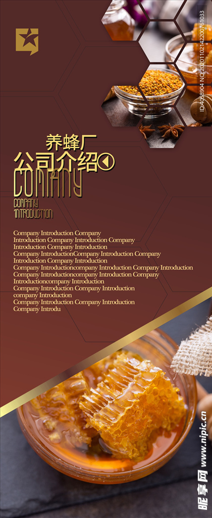 公司介绍