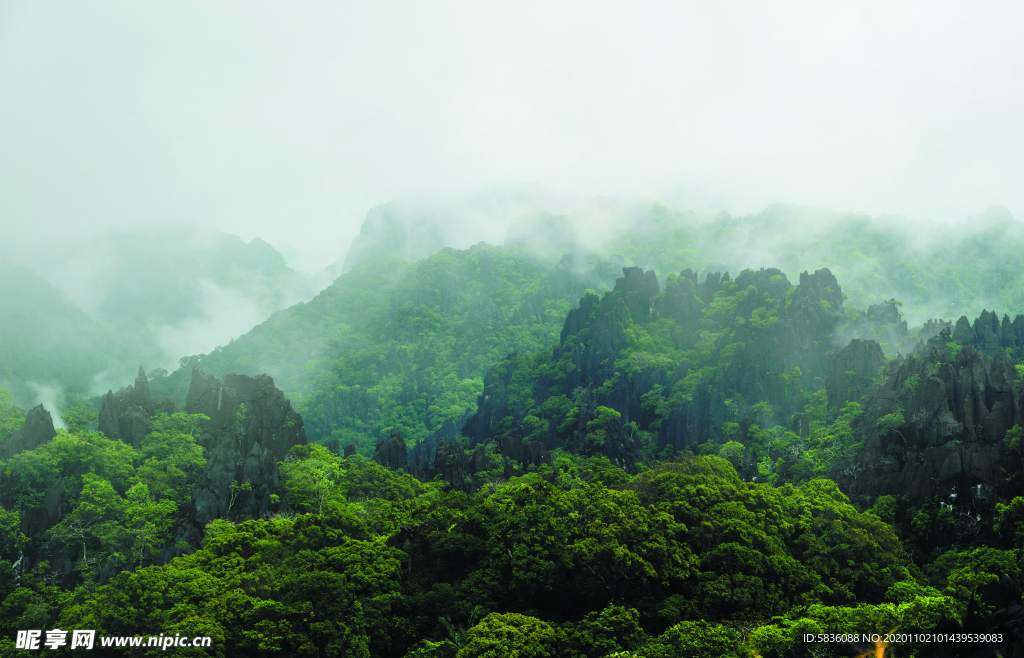 雾中的石林翠绿山峰装饰图