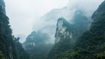 三峡竹海生态风景区