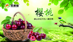 樱桃海报贴