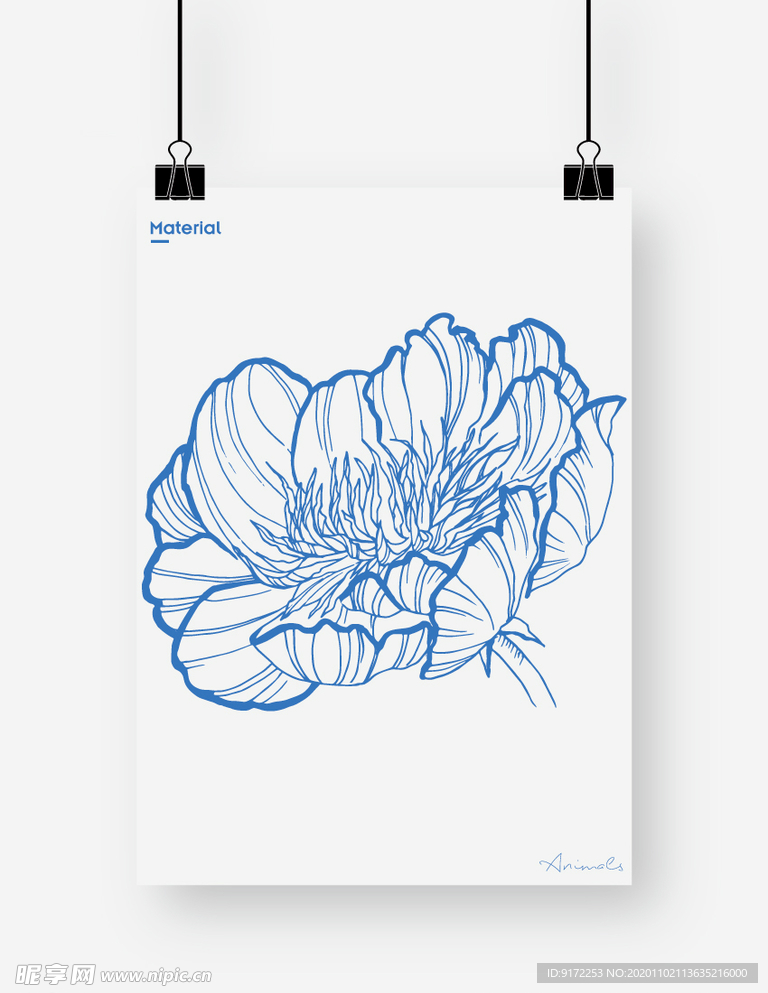 菊花