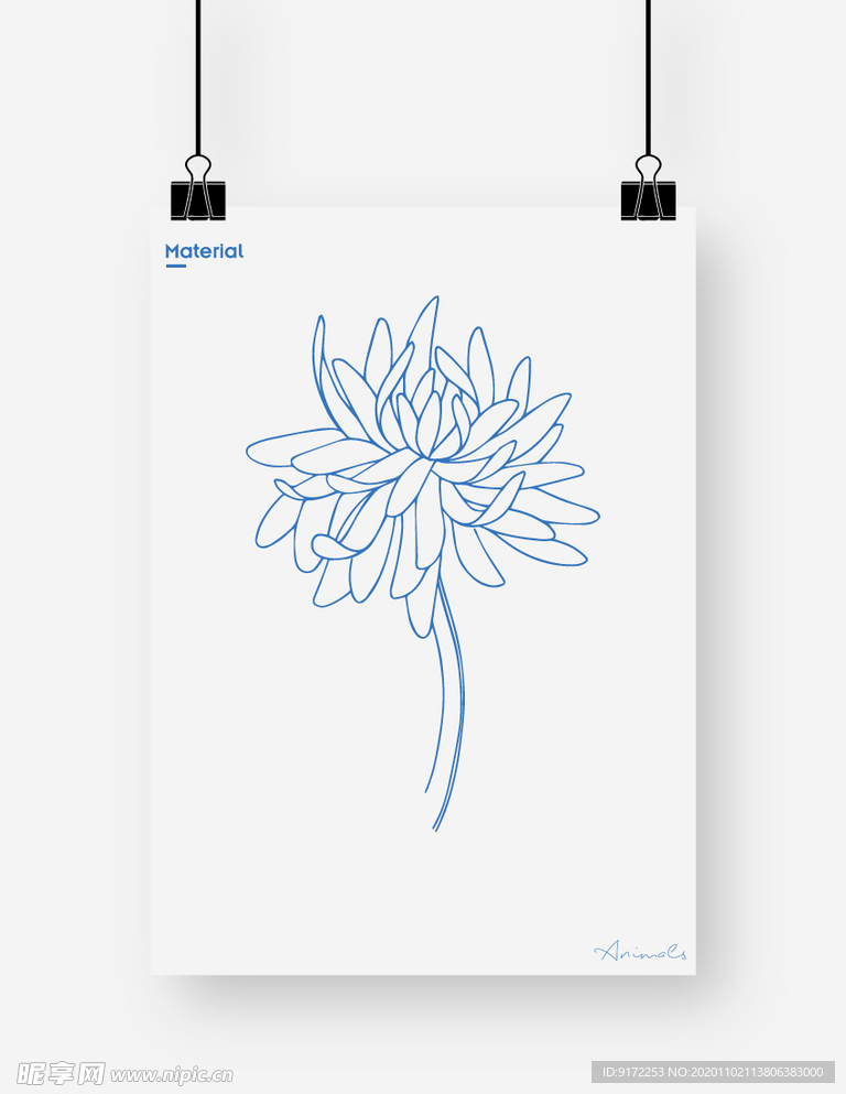 菊花