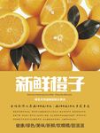 橙子海报