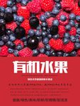 水果海报