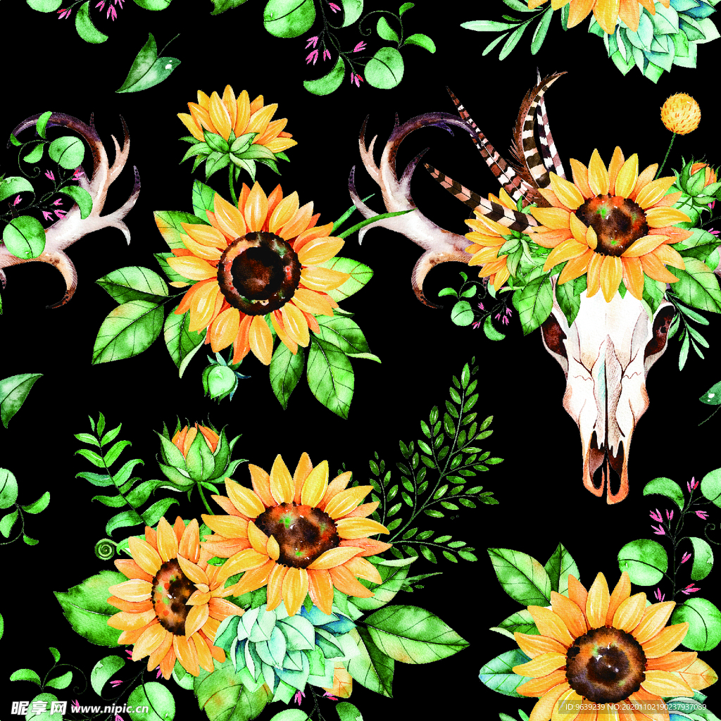 鹿头向日葵