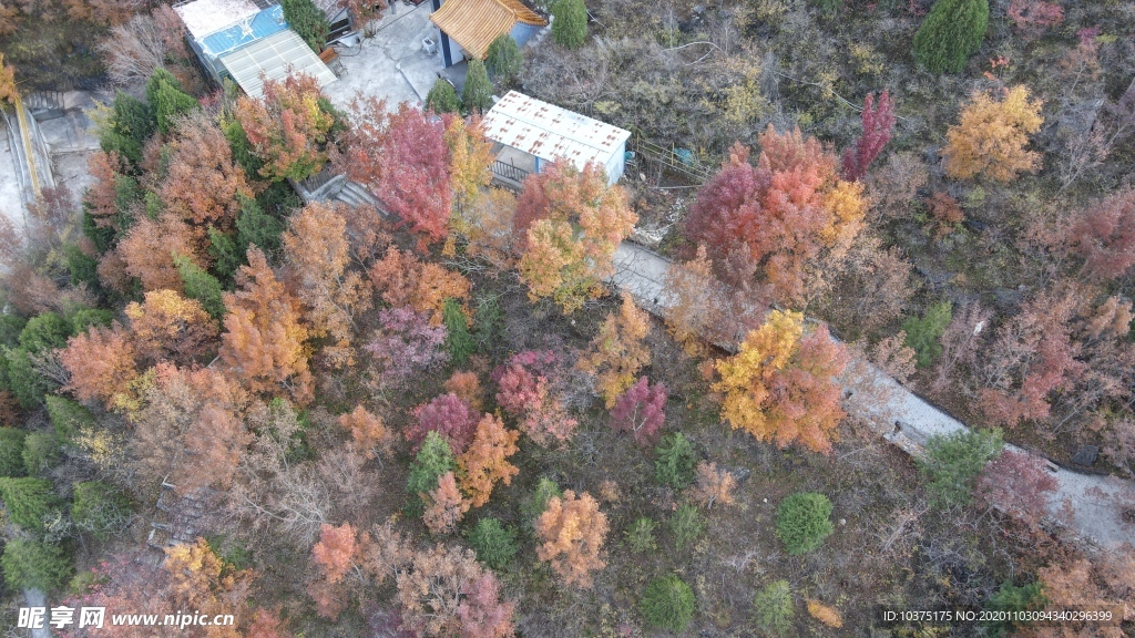 十渡野山坡的秋