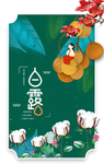 白露棉花开