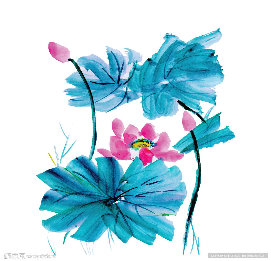 中国风手绘荷花图