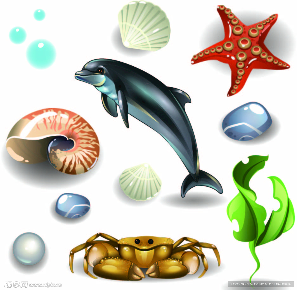 海洋生物