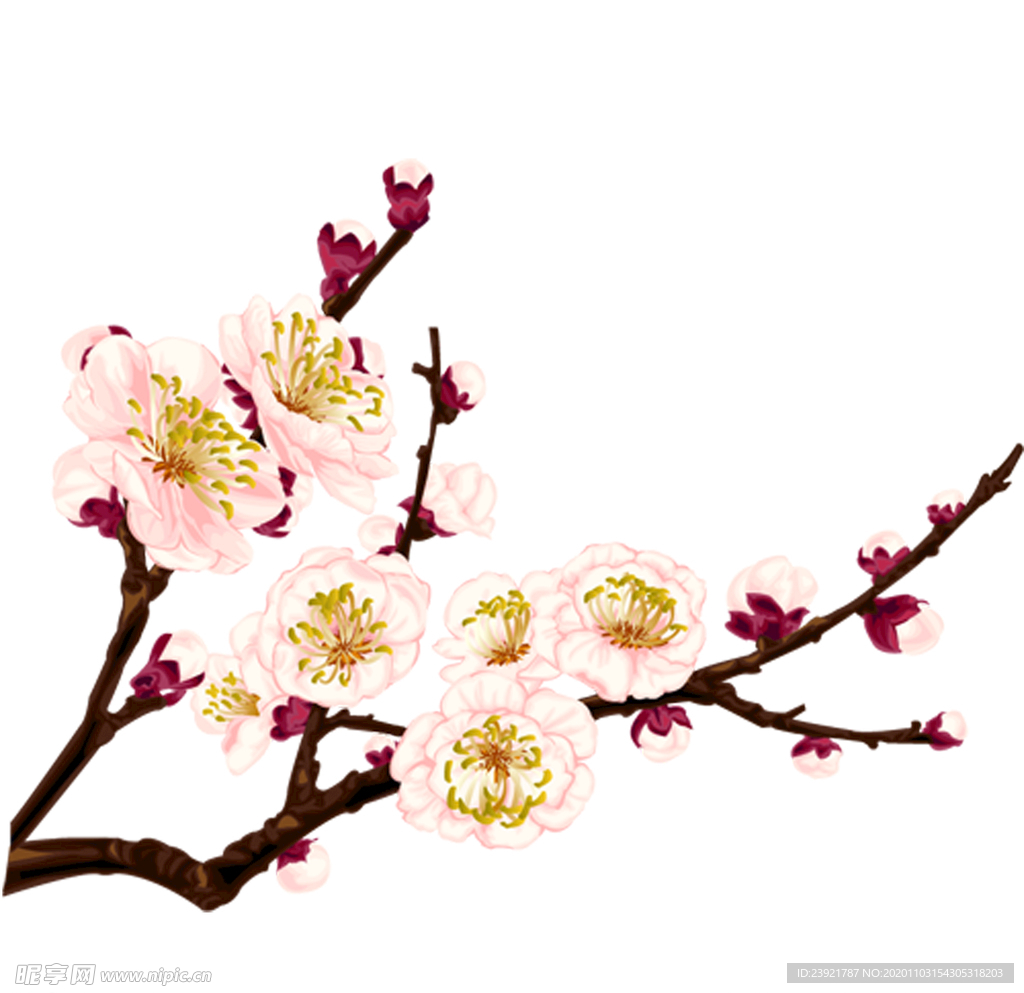 桃花