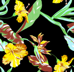 热带花