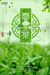 茶文化茶叶