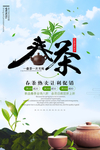 茶文化茶叶