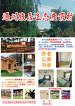 养老宣传单